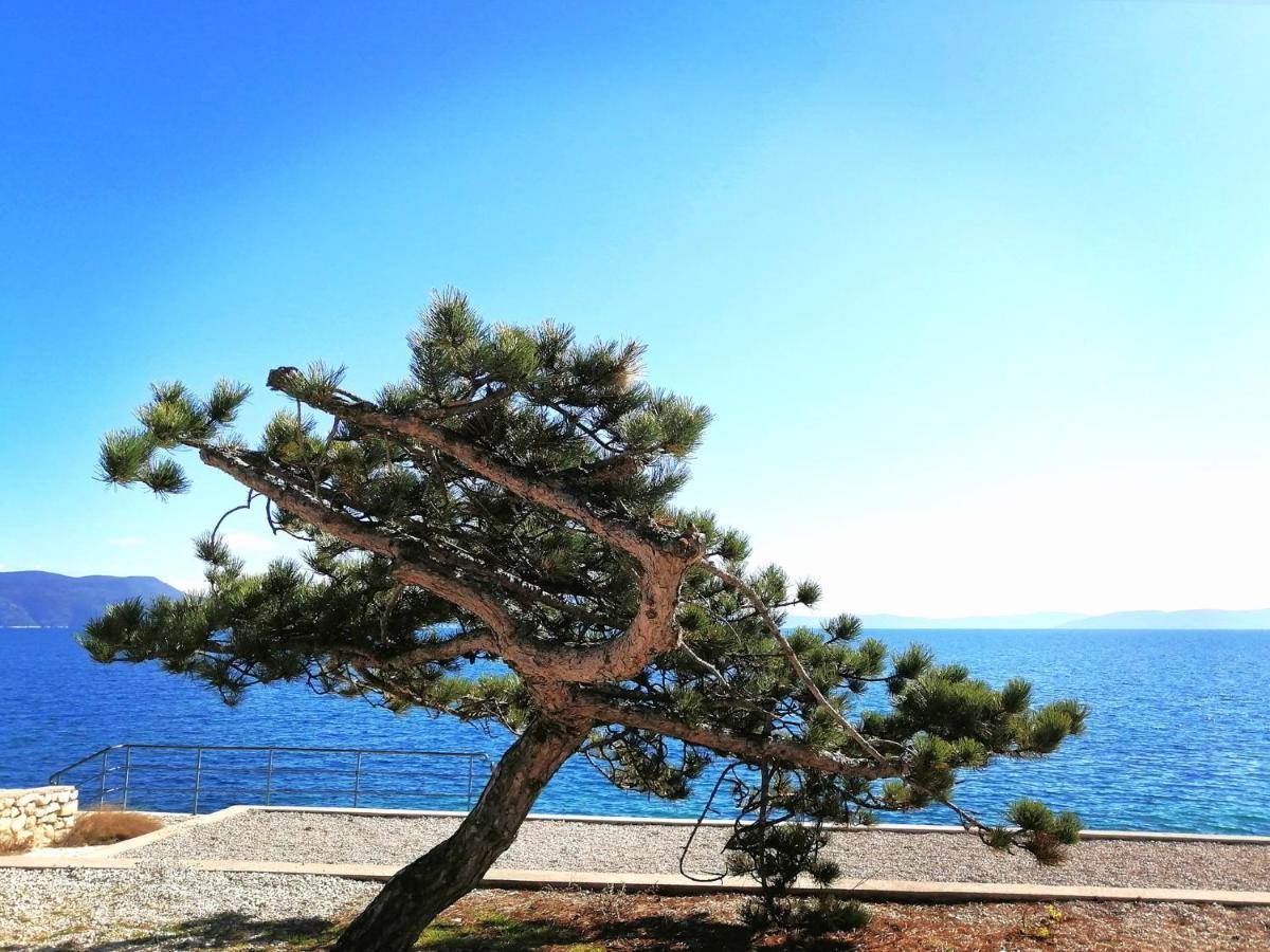 Apartment Layla - Intermezzo With Sea View In Center Of غاباس المظهر الخارجي الصورة
